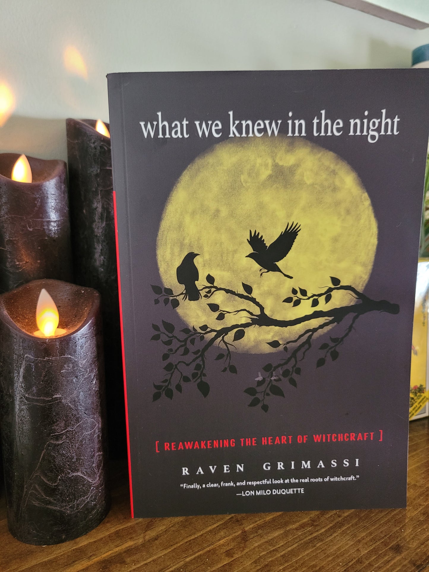 What We Knew In The Night