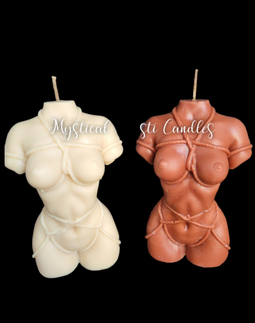 Shibari Torso Female
