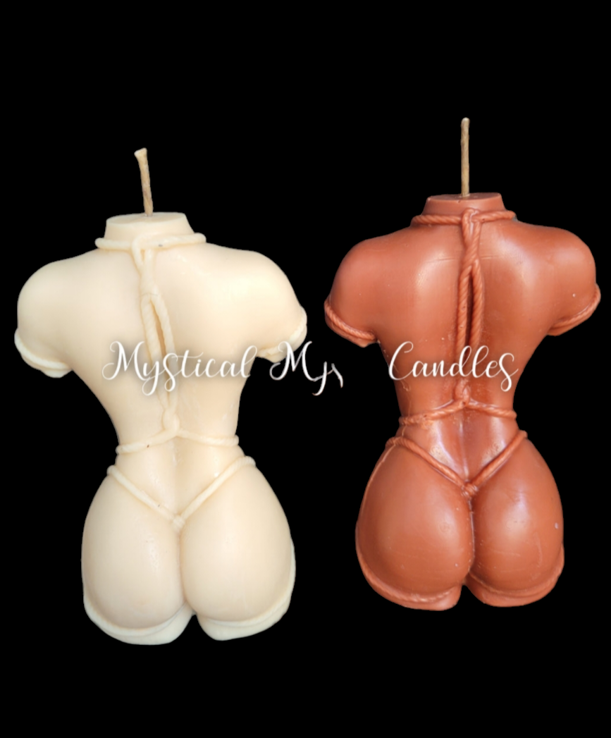 Shibari Torso Female
