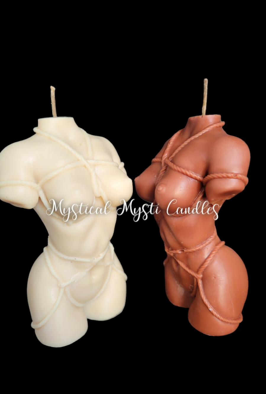 Shibari Torso Female