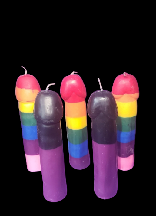 Penis (No testicles)