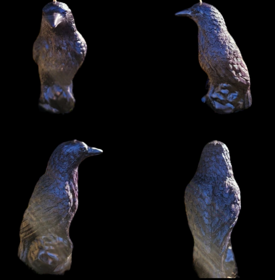 Crow/Raven