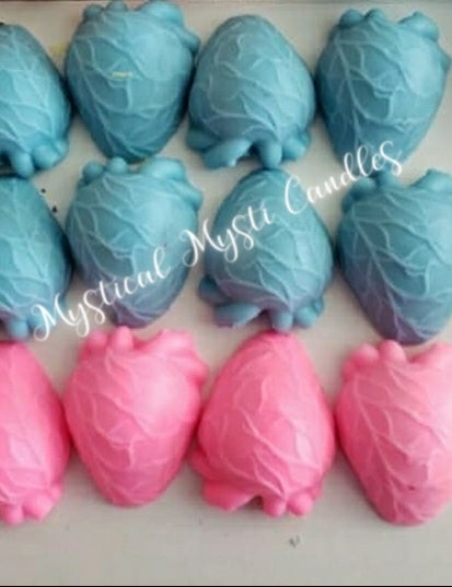 Anatomically Correct Heart~ Small