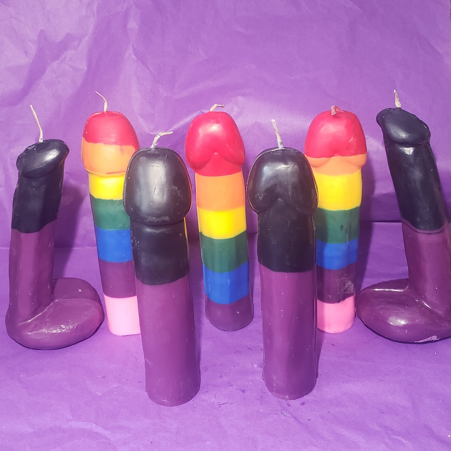 Penis (No testicles)