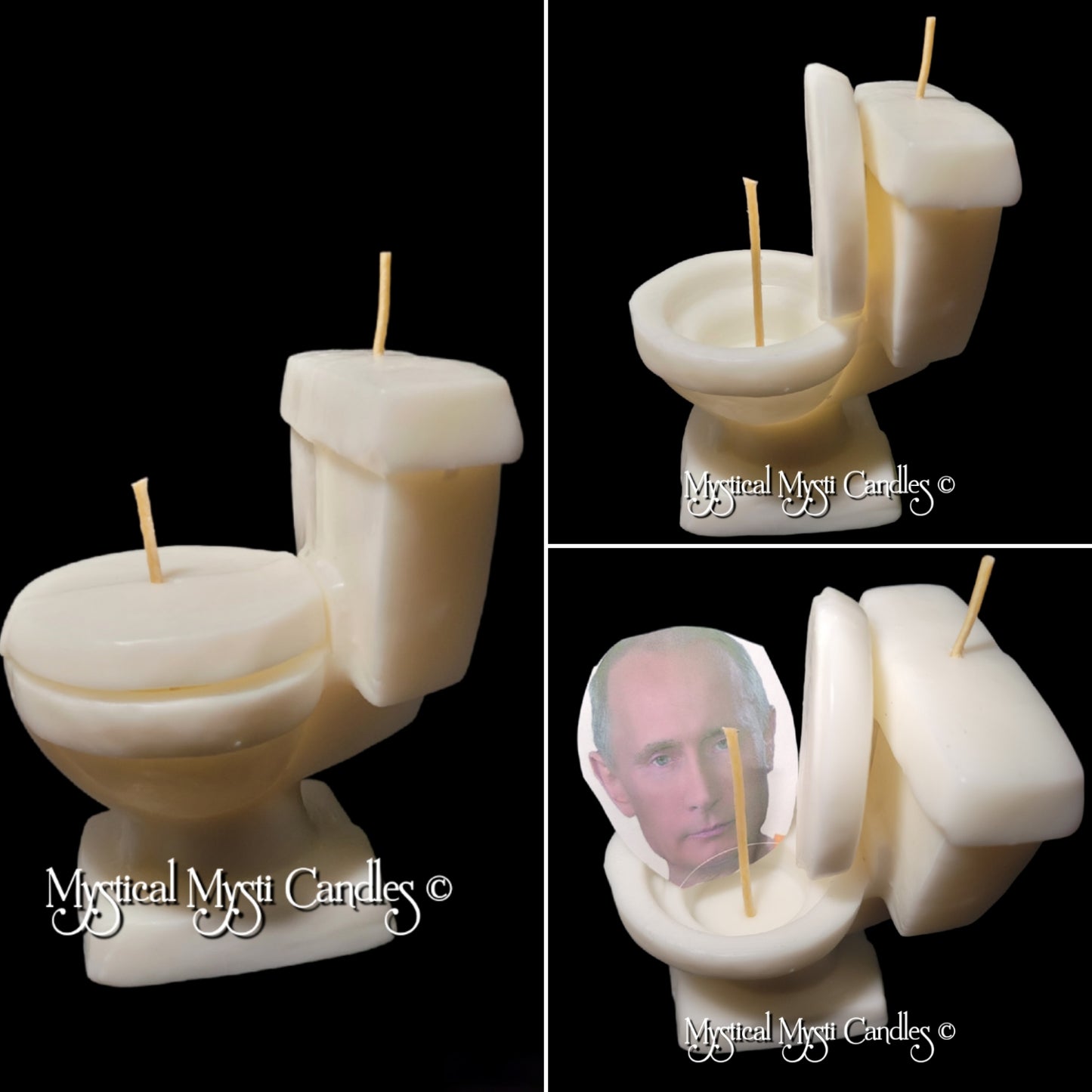 Loadable Toilet