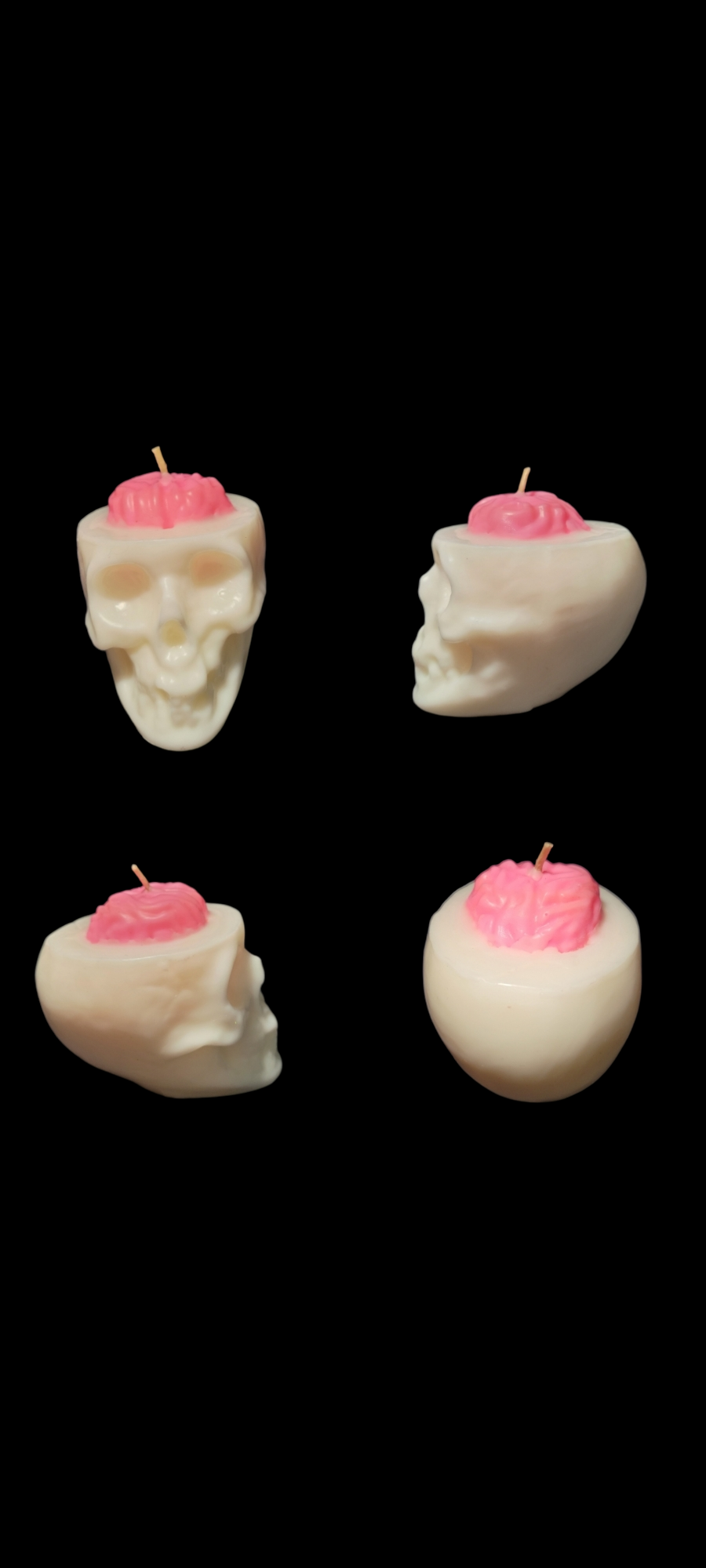 Skull with Brain