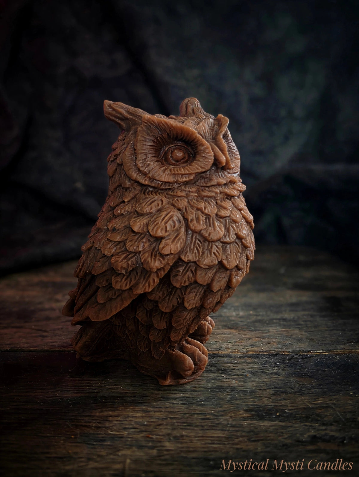 Realistic Owl 🦉