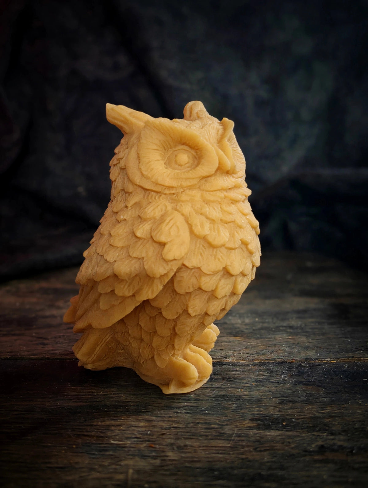 Realistic Owl 🦉