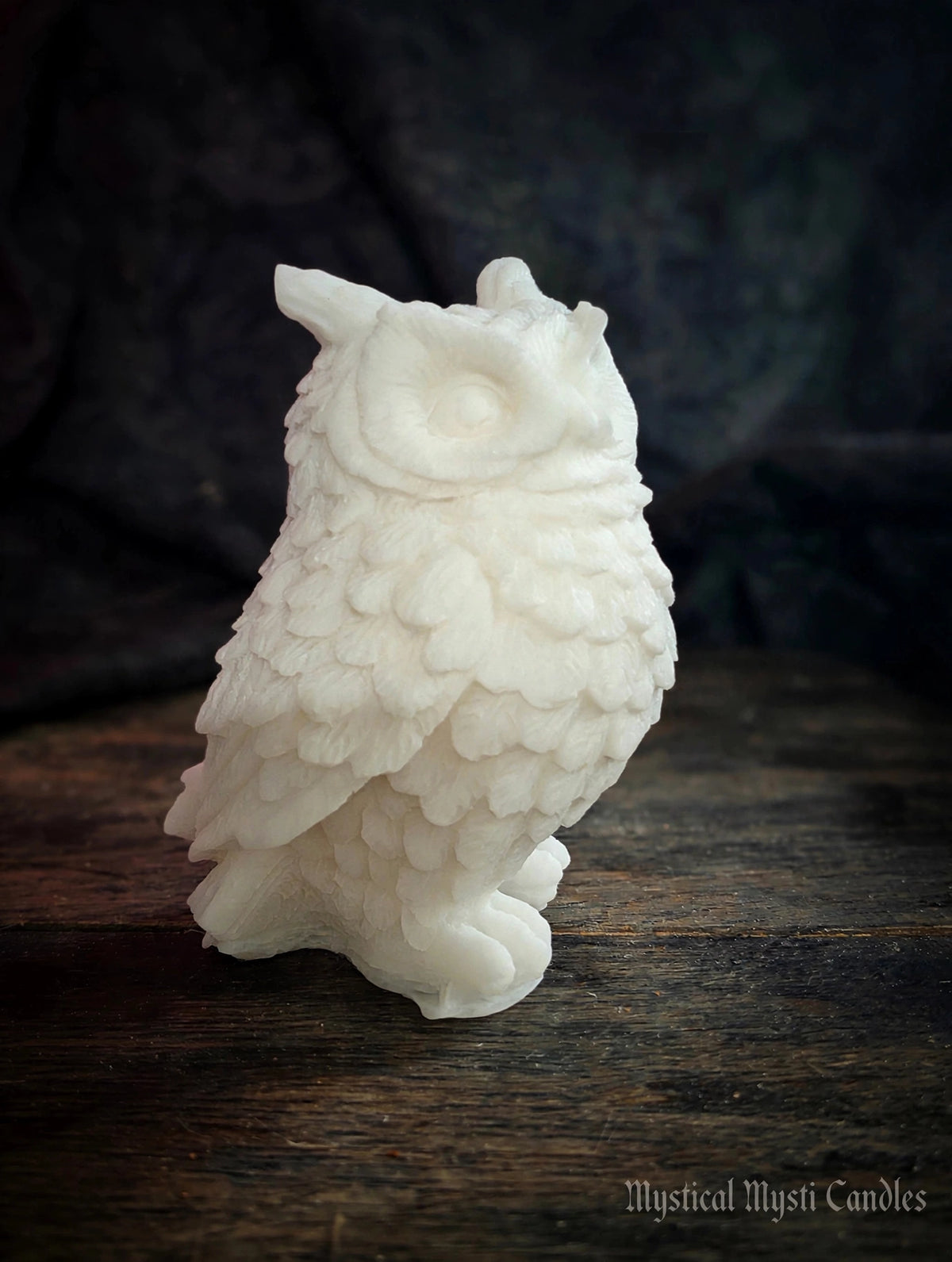 Realistic Owl 🦉