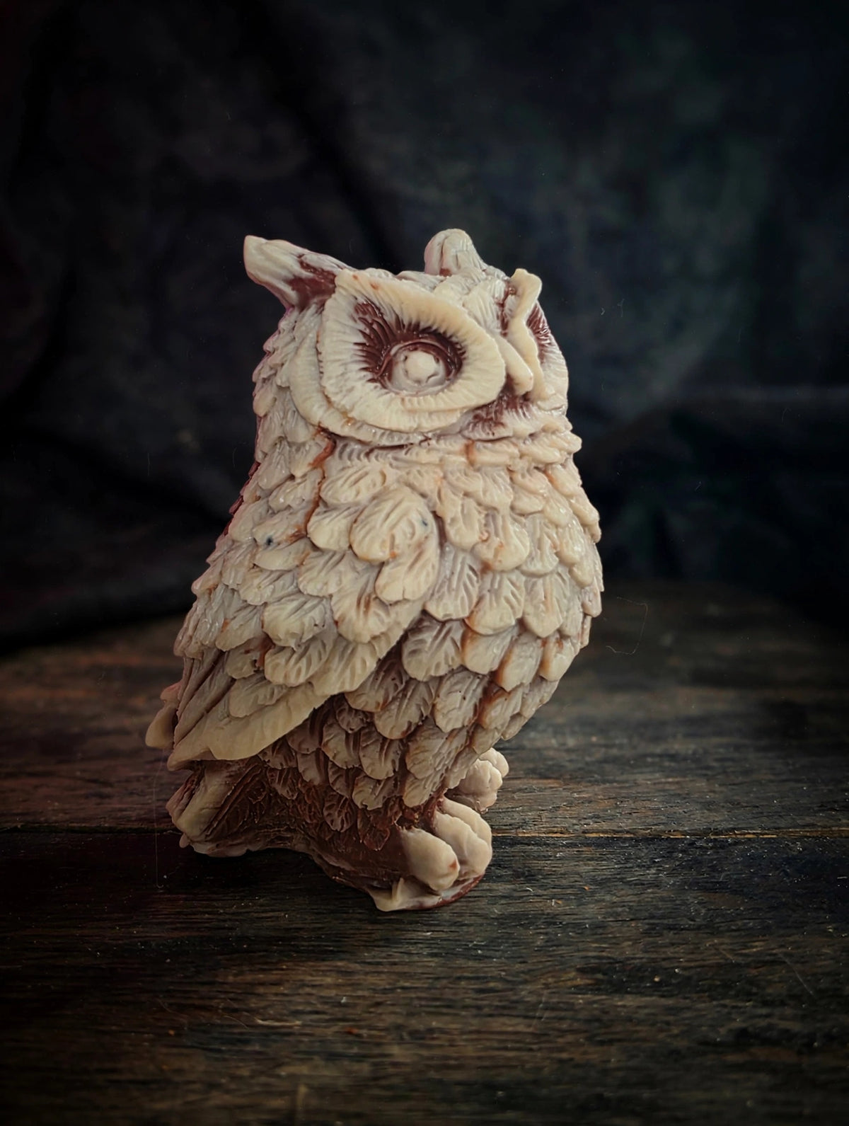Realistic Owl 🦉