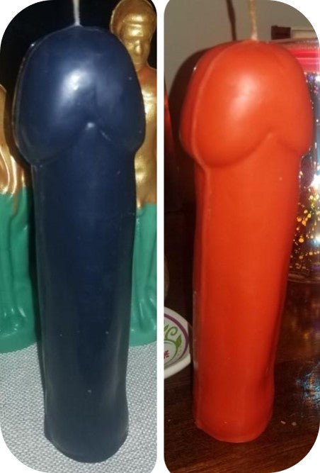 Penis (No testicles)