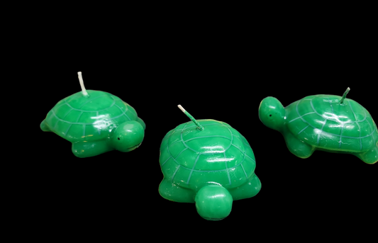 Floating Turtle Candle