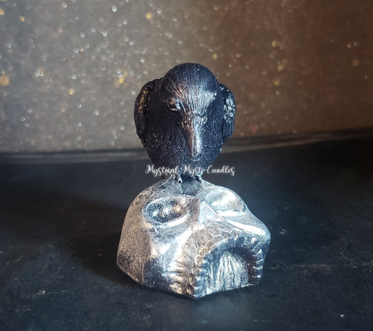Crow/Raven On Skull