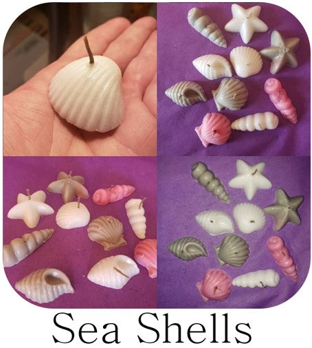 Sea Shell Tealights